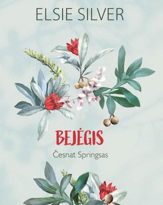 Bejėgis
