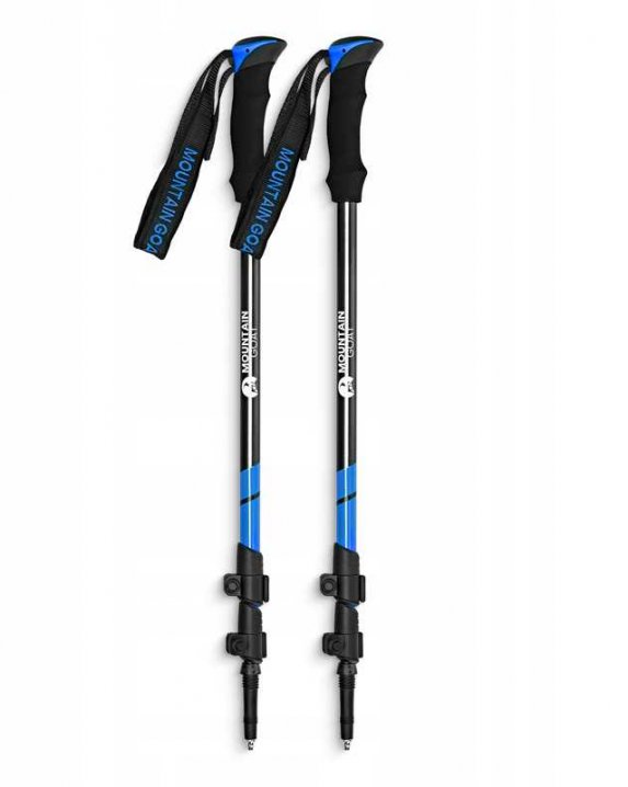 Šiaurietiškos lazdos