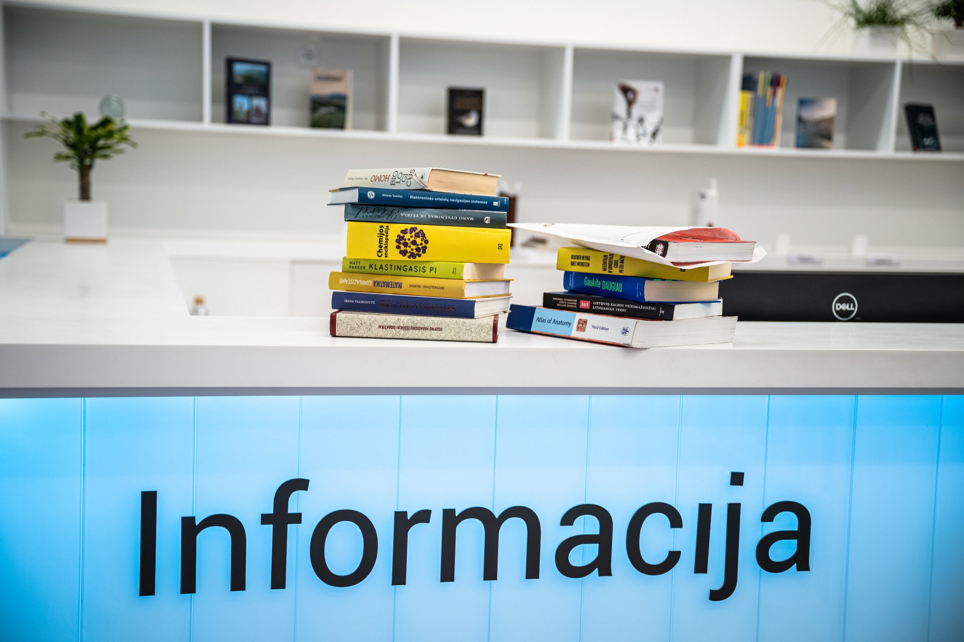 Knygos be sienų: kaip veikia tarpbibliotekinis abonementas?